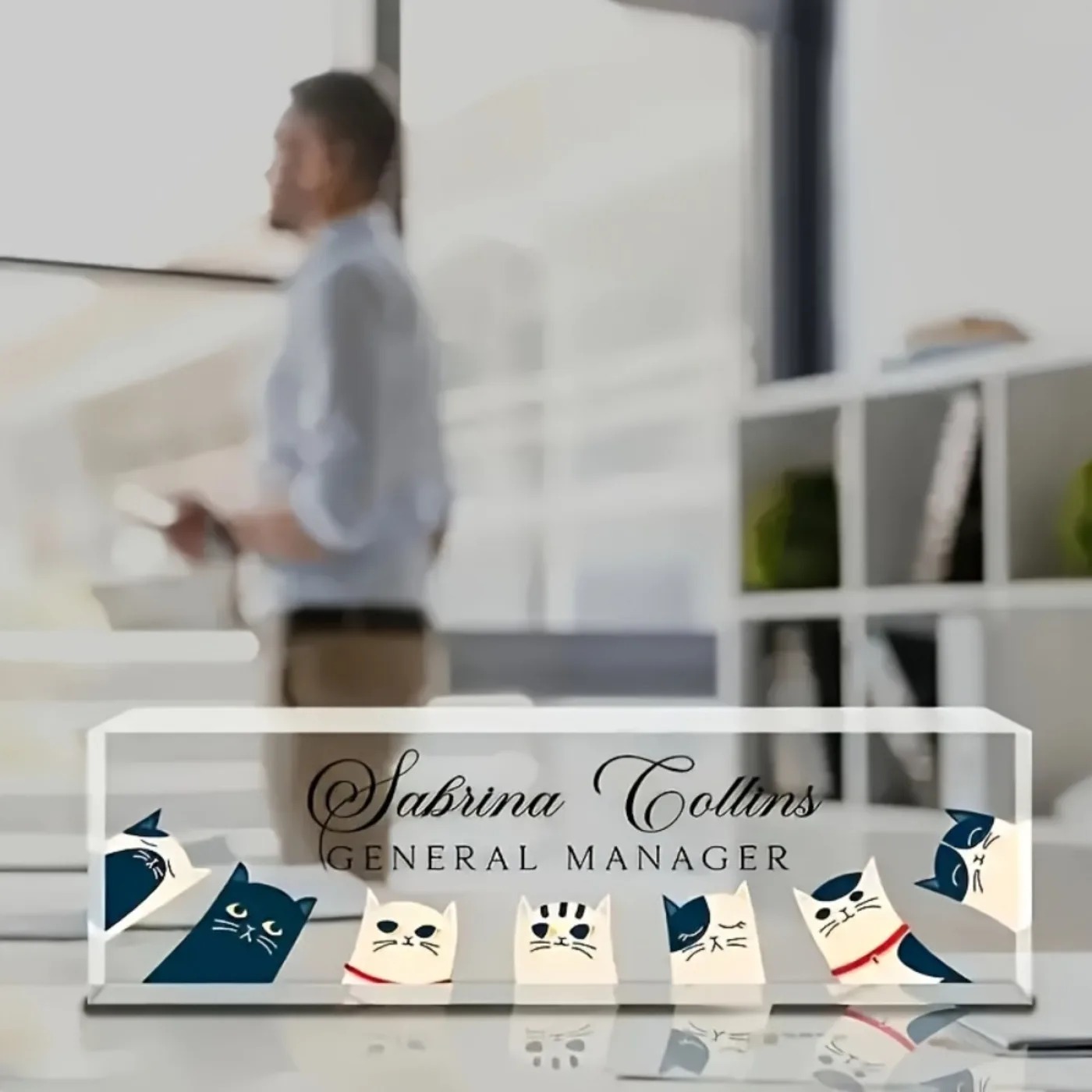 [2D Flat] Custom Transparent C - Desk Name Plate review and price
